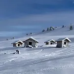 Wolf.tirol *