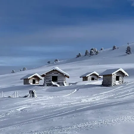 Wolf.tirol *